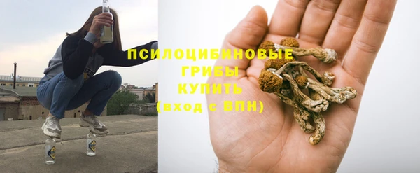 сатива Балабаново