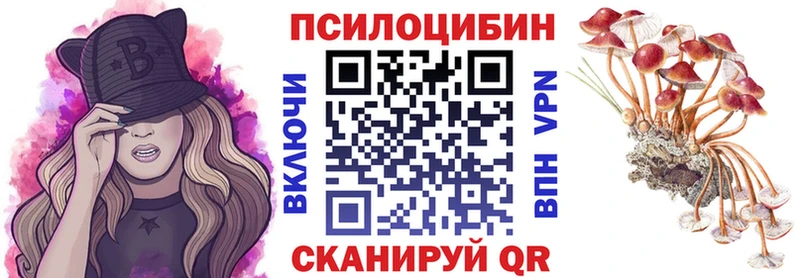 площадка Telegram  Шацк  Галлюциногенные грибы MAGIC MUSHROOMS 